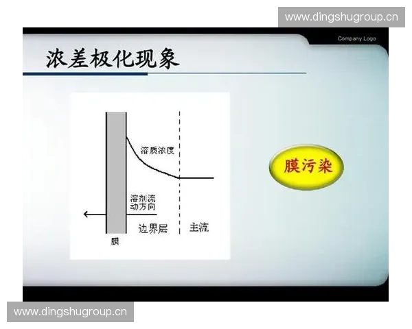 内压迫角度分析与应对策略探讨：从内角压迫现象到防治方法的全面研究